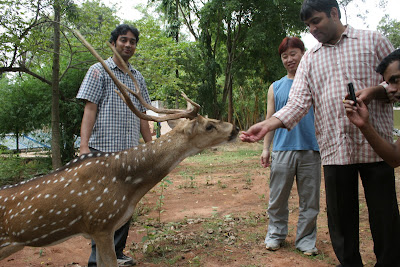Ayyappa is feeding